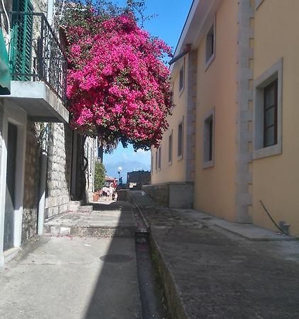 Nataliia Twister Apartment Budva Exterior foto